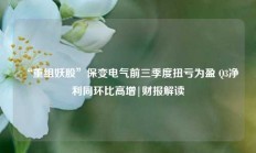 “重组妖股”保变电气前三季度扭亏为盈 Q3净利同环比高增|财报解读