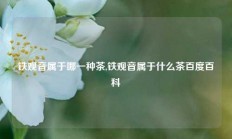 铁观音属于哪一种茶,铁观音属于什么茶百度百科