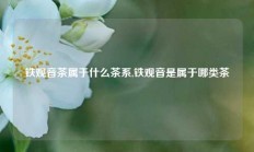 铁观音茶属于什么茶系,铁观音是属于哪类茶