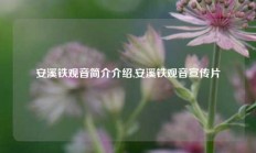 安溪铁观音简介介绍,安溪铁观音宣传片