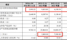 胜科纳米IPO：2年分红1.1亿，实控人却负债1亿