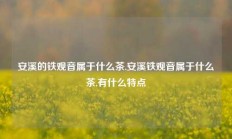 安溪的铁观音属于什么茶,安溪铁观音属于什么茶,有什么特点