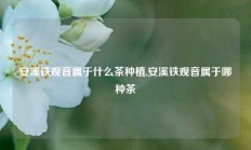 安溪铁观音属于什么茶种植,安溪铁观音属于哪种茶