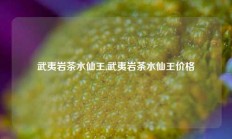 武夷岩茶水仙王,武夷岩茶水仙王价格