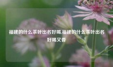 福建的什么茶叶出名好喝,福建的什么茶叶出名好喝又香