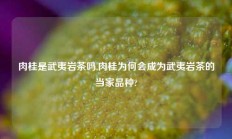 肉桂是武夷岩茶吗,肉桂为何会成为武夷岩茶的当家品种?