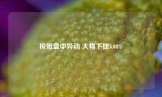 极氪盘中异动 大幅下挫5.08%