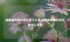 福建最好喝的茶叶是什么茶,福建最好喝的茶叶是什么茶类