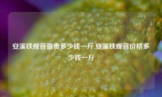 安溪铁观音最贵多少钱一斤,安溪铁观音价格多少钱一斤