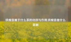 铁观音属于什么茶的功效与作用,铁观音是什么茶啊