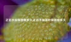 正岩水仙保质期多久,正岩水仙茶叶保质期多久