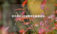 百大房企10月销售环比暴增近70%