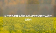 百年老枞是什么茶叶品种,百年老枞是什么茶叶品种的