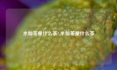 水仙茶是什么茶?,水仙茶是什么茶