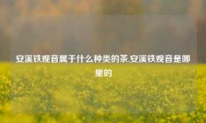 安溪铁观音属于什么种类的茶,安溪铁观音是哪里的