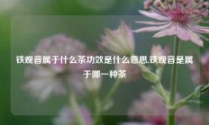 铁观音属于什么茶功效是什么意思,铁观音是属于哪一种茶