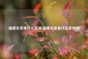 福建名茶是什么茶种,福建名茶是什么茶种啊