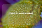 安溪铁观音出名吗,安溪的铁观音