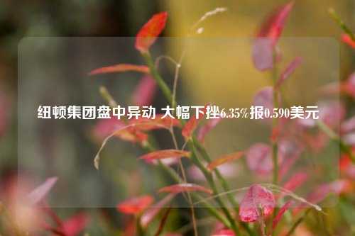 纽顿集团盘中异动 大幅下挫6.35%报0.590美元