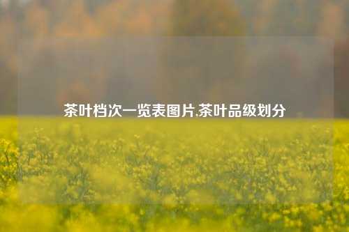 茶叶档次一览表图片,茶叶品级划分