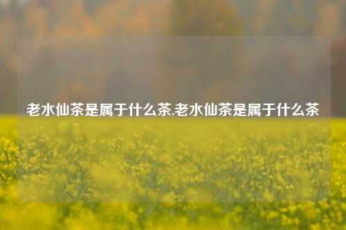 老水仙茶是属于什么茶,老水仙茶是属于什么茶