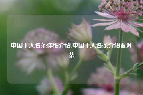 中国十大名茶详细介绍,中国十大名茶介绍普洱茶