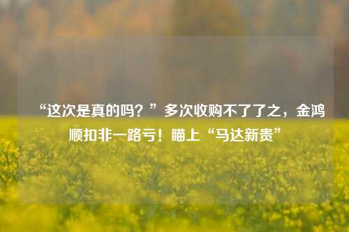 “这次是真的吗？”多次收购不了了之，金鸿顺扣非一路亏！瞄上“马达新贵”