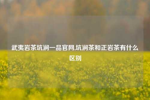 武夷岩茶坑涧一品官网,坑涧茶和正岩茶有什么区别