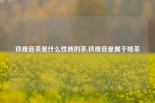 铁观音茶是什么性质的茶,铁观音是属于啥茶