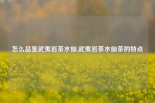 怎么品鉴武夷岩茶水仙,武夷岩茶水仙茶的特点