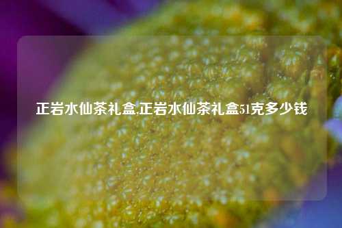 正岩水仙茶礼盒,正岩水仙茶礼盒51克多少钱