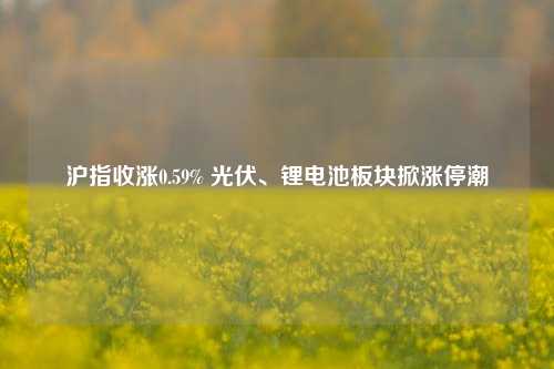 沪指收涨0.59% 光伏、锂电池板块掀涨停潮