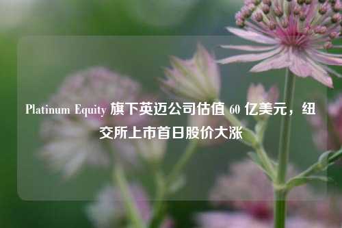 Platinum Equity 旗下英迈公司估值 60 亿美元，纽交所上市首日股价大涨