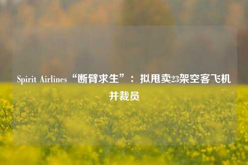 Spirit Airlines“断臂求生”：拟甩卖23架空客飞机并裁员