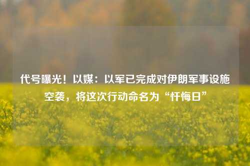 代号曝光！以媒：以军已完成对伊朗军事设施空袭，将这次行动命名为“忏悔日”