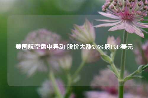 美国航空盘中异动 股价大涨5.05%报13.43美元