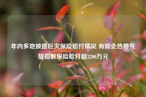 年内多地披露巨灾保险赔付情况 有险企热带气旋指数保险赔付超3200万元