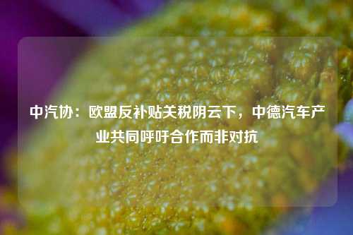 中汽协：欧盟反补贴关税阴云下，中德汽车产业共同呼吁合作而非对抗