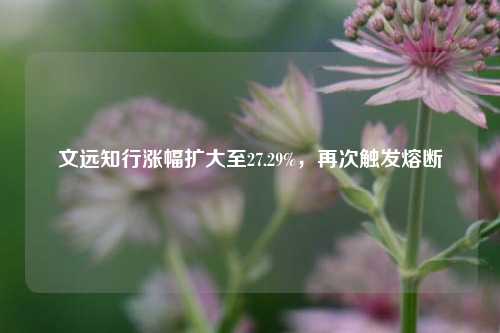 文远知行涨幅扩大至27.29%，再次触发熔断