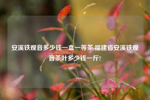 安溪铁观音多少钱一盒一等茶,福建省安溪铁观音茶叶多少钱一斤?