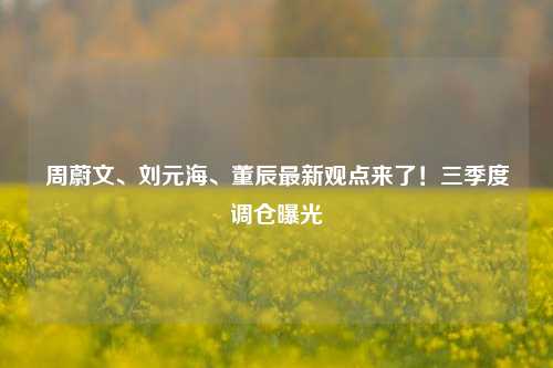 周蔚文、刘元海、董辰最新观点来了！三季度调仓曝光