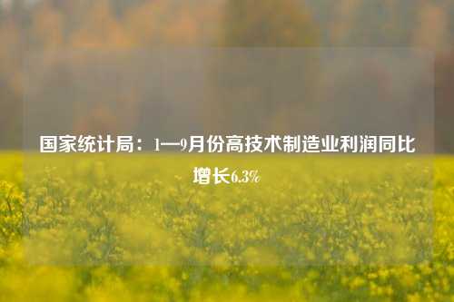 国家统计局：1—9月份高技术制造业利润同比增长6.3%