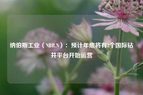 纳伯斯工业（NBR.N）：预计年底将有3个国际钻井平台开始运营