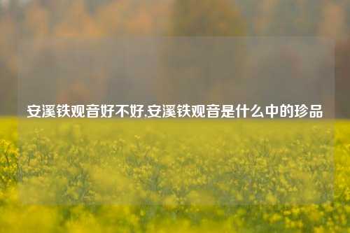 安溪铁观音好不好,安溪铁观音是什么中的珍品