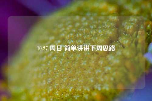 10.27 周日 简单讲讲下周思路