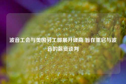 波音工会与美国劳工部展开磋商 旨在重启与波音的薪资谈判