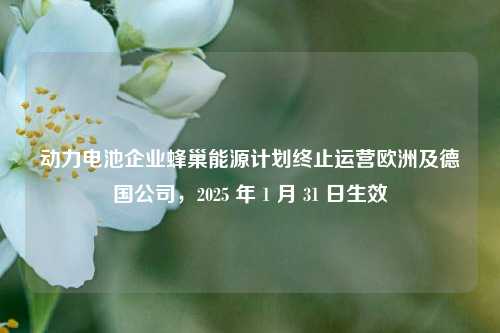 动力电池企业蜂巢能源计划终止运营欧洲及德国公司，2025 年 1 月 31 日生效