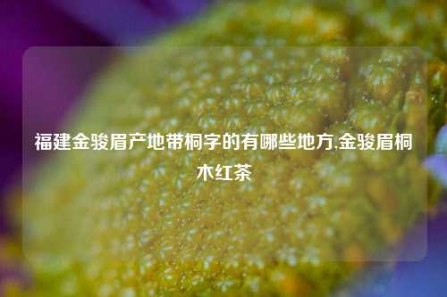 福建金骏眉产地带桐字的有哪些地方,金骏眉桐木红茶