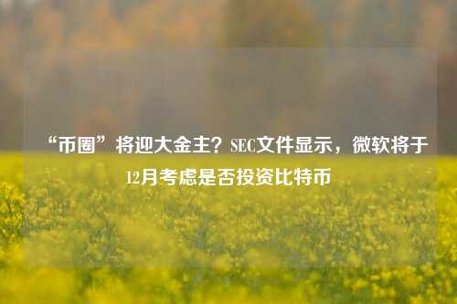 “币圈”将迎大金主？SEC文件显示，微软将于12月考虑是否投资比特币