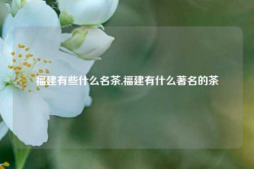 福建有些什么名茶,福建有什么著名的茶